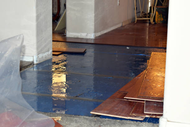 Professional Sewage Cleanup technician working in Bellingham, MA